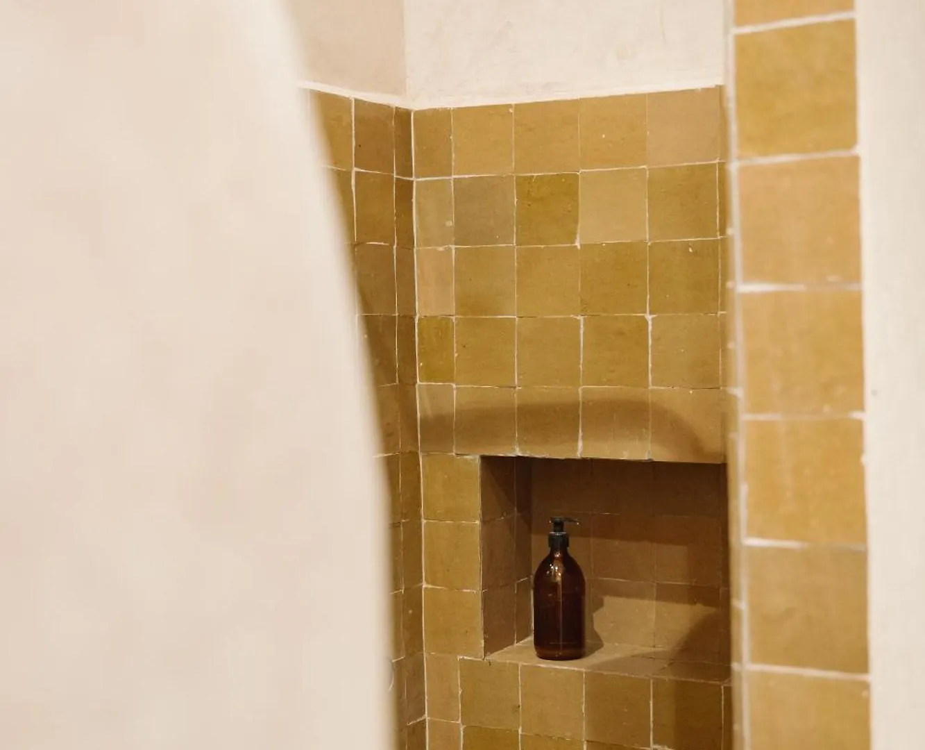 Riad Le Sable Vert Marrakesh Guest house